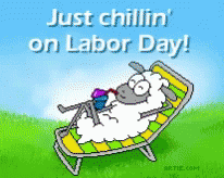 Sheep Laying In Chair Just Chillin On Labor Day GIF