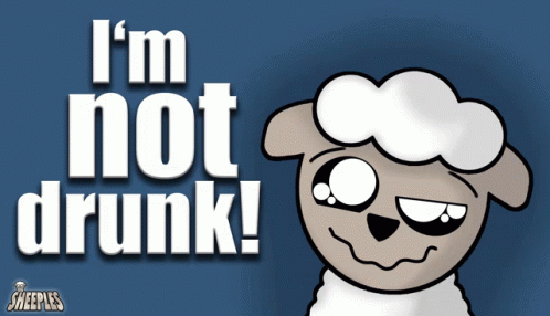 Sheep Saying I'm Not Drunk