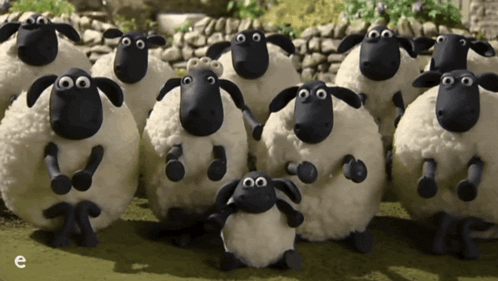 Sheep Standing in Field With Letter E