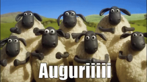Sheep Standing Together Auguriiii GIF