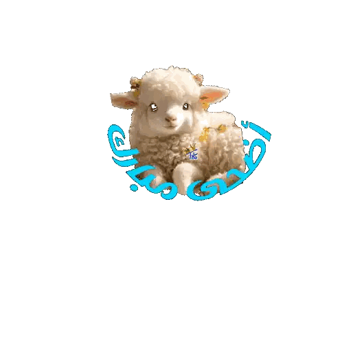 Sheep Surrounded by Arabic Letters