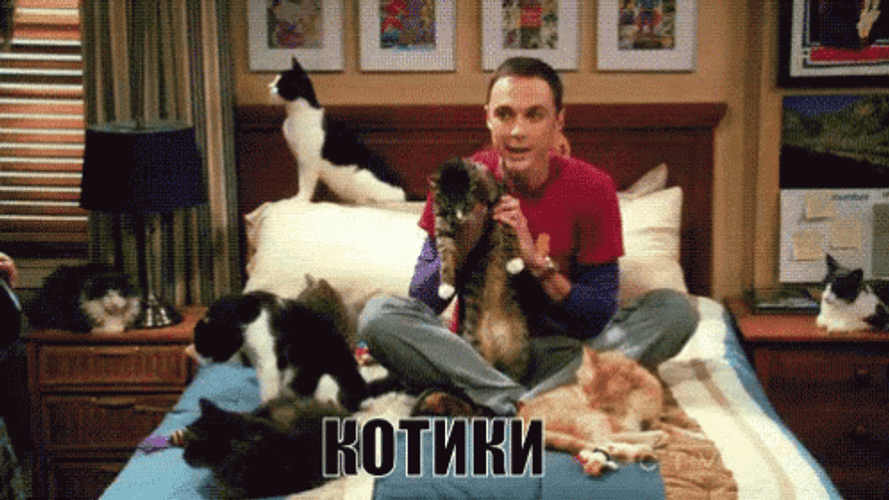 Sheldon With Pets Kip Yes GIF