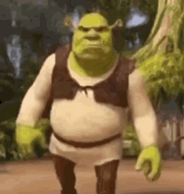 Sherk Disappointed Gif GIF
