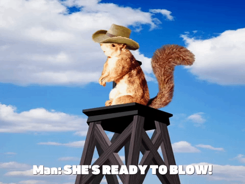Shes Ready To Blow Cowboy Squirrel Meme GIF