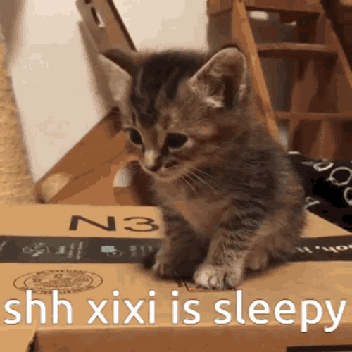 Shh Xixi Is Sleepy Kitten GIF