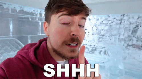 Shhh Mr Beast Meme GIF