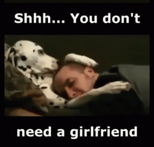 Shhh You Don't Need A Girlfriend Dog Rubbing Head GIF
