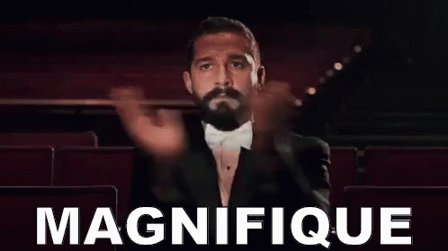 Shia Labeouf Clapping Saying Magnifique GIF
