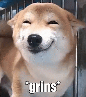 Shiba Inu Cute Grins GIF