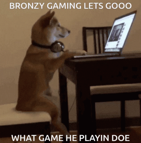 Shiba Inu Using Laptop Playing GIF