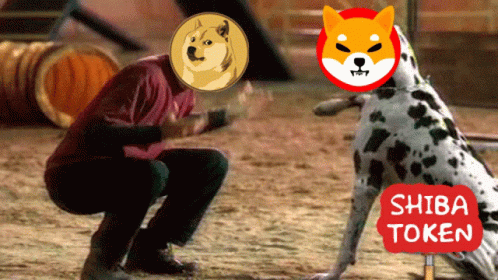 Shiba Inu Icon Poked GIF