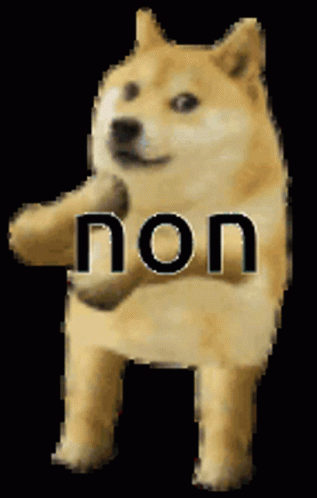 Shiba Inu Dancing Doge GIF