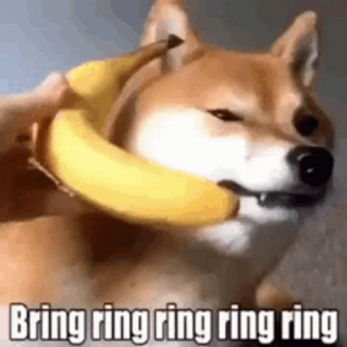 Shiba Inu Dog Holding Banana Necklace