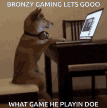 Shiba Inu Hunting Dog Let's Go Game Play GIF