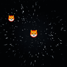 Shiba Inu Hunting Dog Moon Angry Face GIF