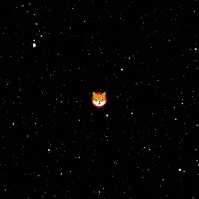 Shiba Inu Hunting Dog Moon Speed Of Light GIF