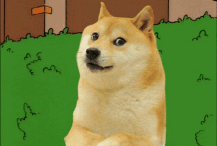 Shiba Inu Meme Disappear In Bush GIF