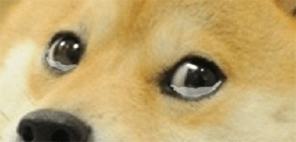 Shiba Inu Single Tear GIF