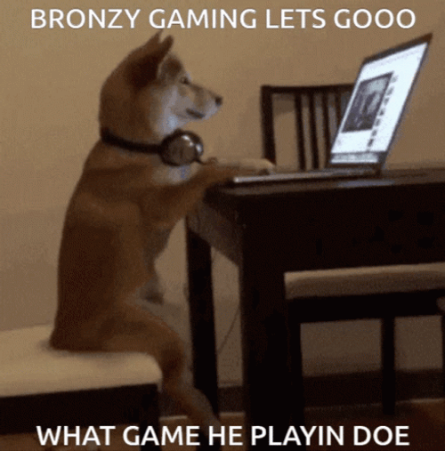Shiba Inu Using Laptop Playing GIF