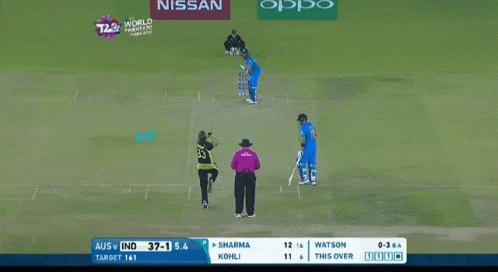 Shikhar Dhawan Shane Watson World Cup GIF