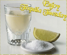 Shimmering Tequila Tuesday Shots GIF