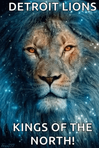 Shining Blue Lions Detroit Lions Kings GIF