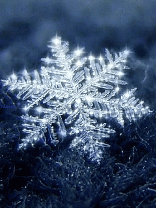 Shining Snowflake On Ground GIF