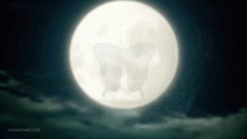 Shinobu Kocho Butterfly Insect GIF