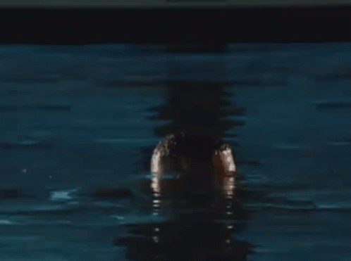 Shirtless Bearded Man Standing in Water