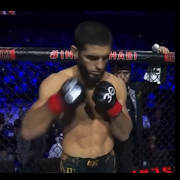 Shirtless Fighter In Cage With UFC GIF