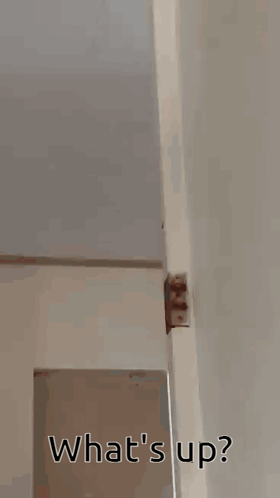 Shirtless Man Dancing Hey Girl Hey GIF