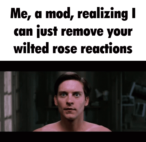 Shirtless Man in Front of Sign Saying Me a Mod Realizing I Can Just Remove Your Wilted Rose