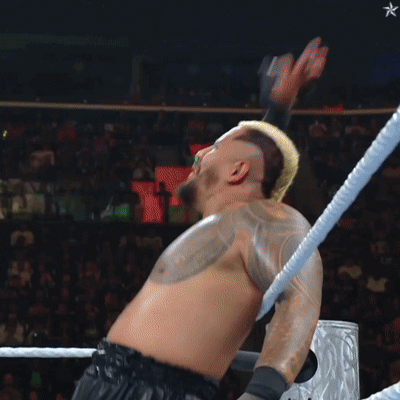 Shirtless Wrestler Arms Outstretched In Ring GIF
