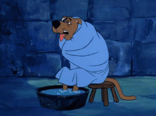 Shivering Dog Scooby Doo Wrapped In Blanket GIF