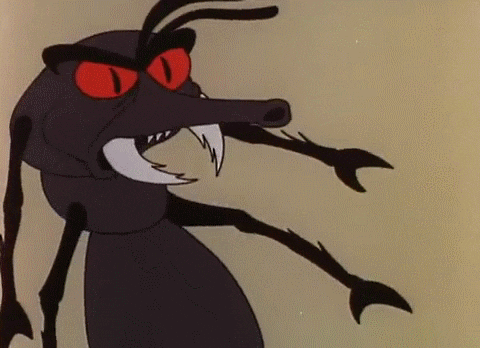 Shnookums And Meat Funny Insect GIF