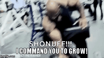 Sho Nuff I Command You Muscle Meme GIF