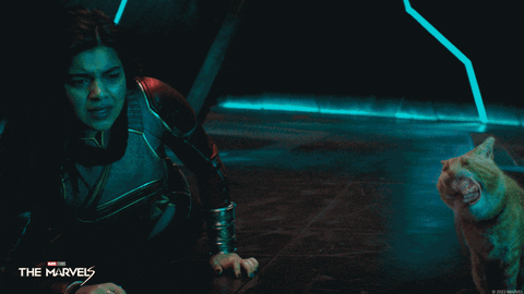 Shocked Captain Marvel Monster Cat GIF