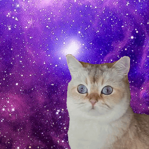 Shocked Cat Spinning In Outer Space GIF