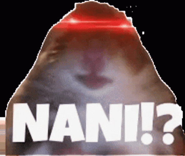 Shocked Chipmunk Nani Meme GIF