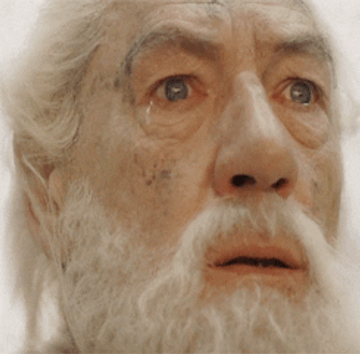 Shocked Gandalf The Grey GIF