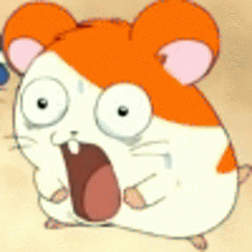 Shocked Hamtaro Hampter Meme GIF