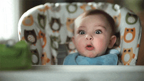 Shocked Nepo Baby GIF