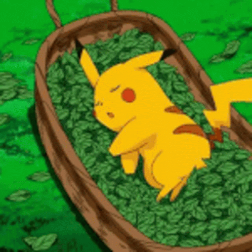 Shocked Pikachu Sleeping GIF