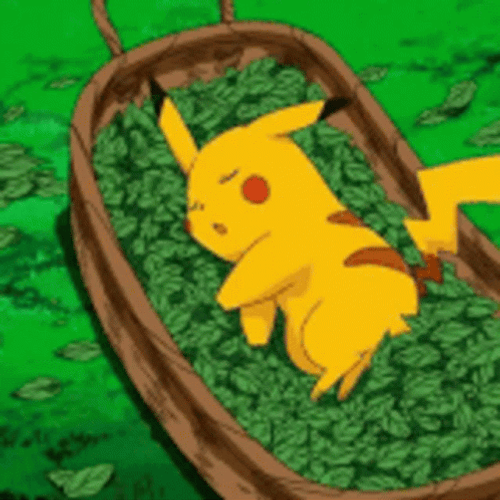 Shocked Pikachu Sleeping GIF