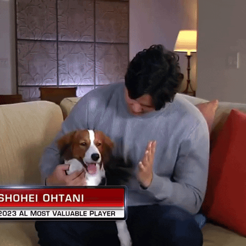 Shohei Ohtani Playing With Dog GIF