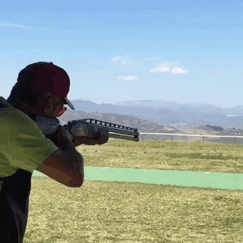 Shooter Bird Target GIF