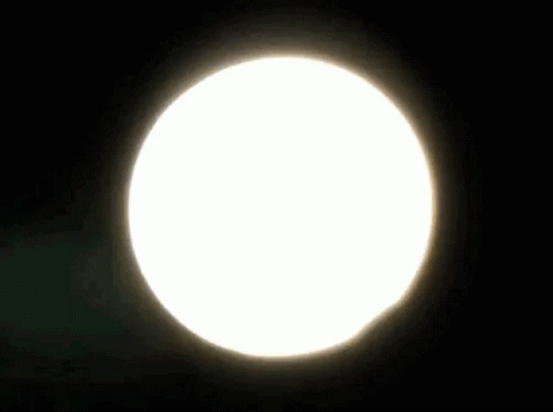 Shooting Star Saying My Shooting Star