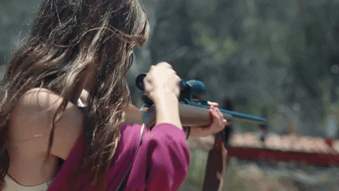 Shooting The Cat With Gun GIF