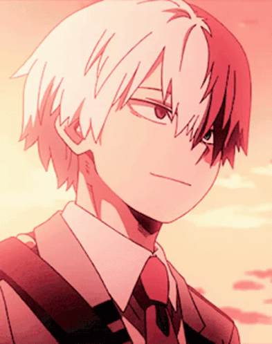 Shoto Todoroki Timid Smile GIF
