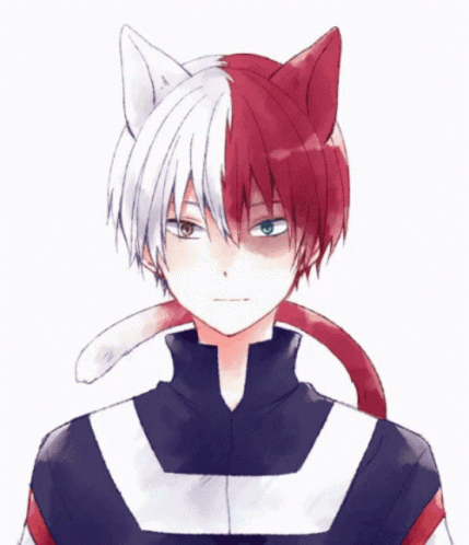 Shoto Todoroki Cat Ears And Tails GIF